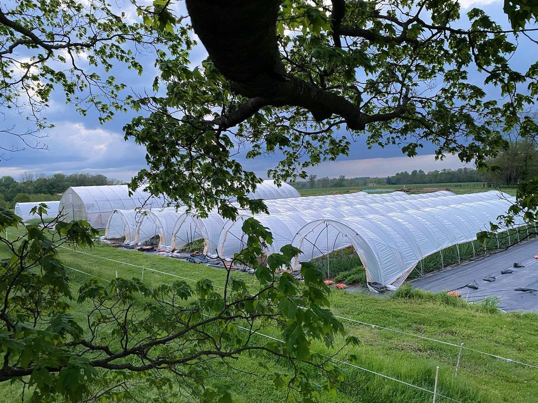 Pavel's Garden with high tunnels in background