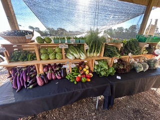 Farm market with certified organic vegetables at DreamTiem Market Gardens