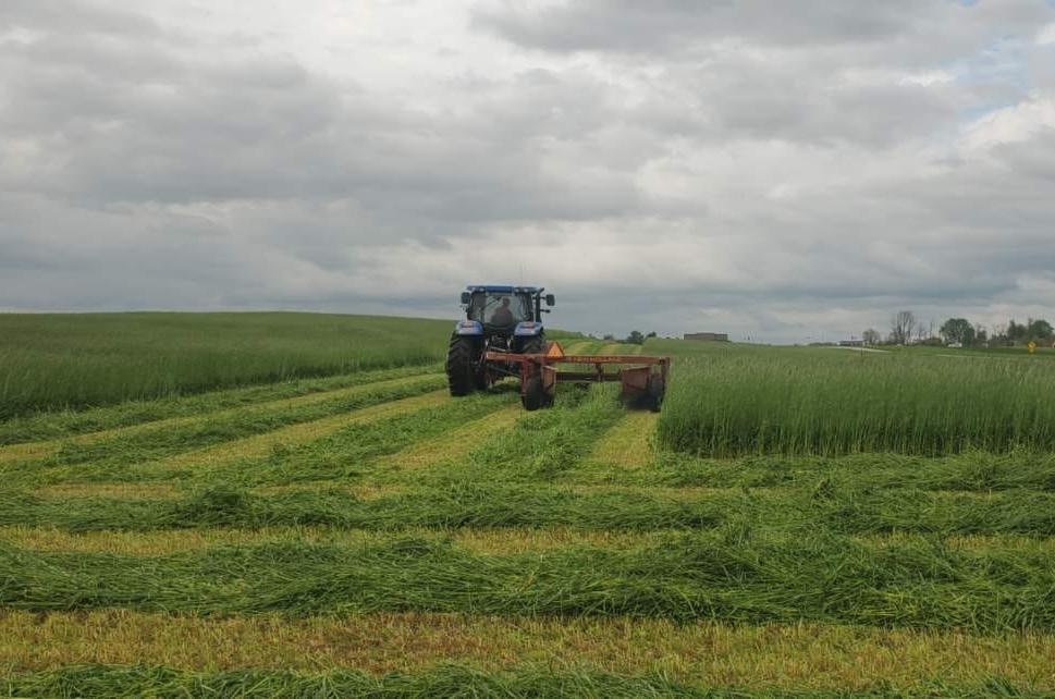 Loretto Motherhouse Farm tractor cutting cover crops