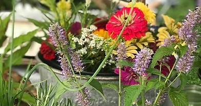 MGP herbs flowers.jpg